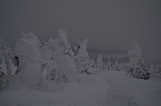 0101-08_s.jpg