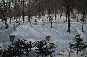 0101-01_s.jpg