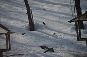 0101-05_s.jpg