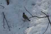 0101-06_s.jpg