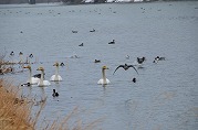 0101-02_s.jpg