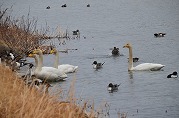 0101-03_s.jpg