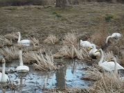 0101-07_s.jpg