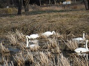 0101-08_s.jpg