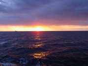 0417-a_s.jpg