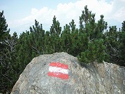 innsbruck-11_s.jpg