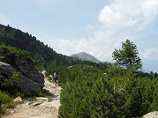 innsbruck-12_s.jpg