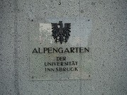 innsbruck-17_s.jpg
