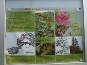 innsbruck-29_s.jpg