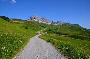 lech-01_s.jpg