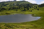 lech-13_s.jpg