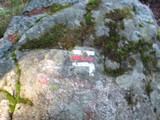 TMB013_S.jpg