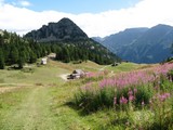 TMB048_S.jpg