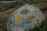 TMB055_S.jpg